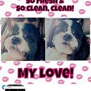 Meet your Posher, Krys